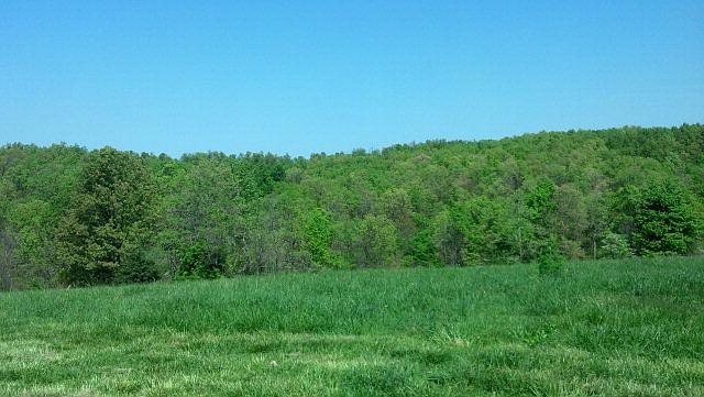 2nd image of 2170 Farm Rd