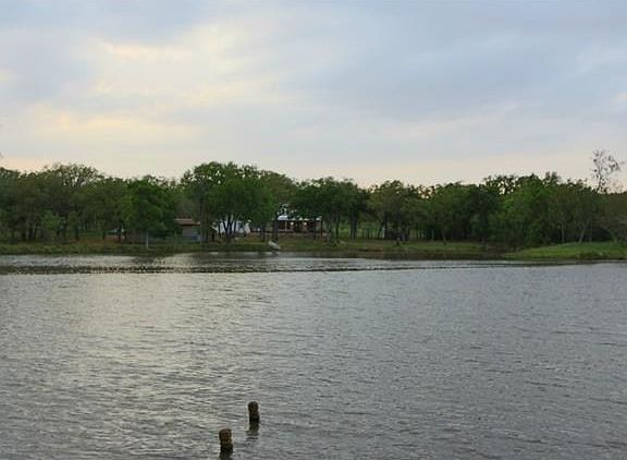 view across pond from the house. riding trails throughout wooded portion.