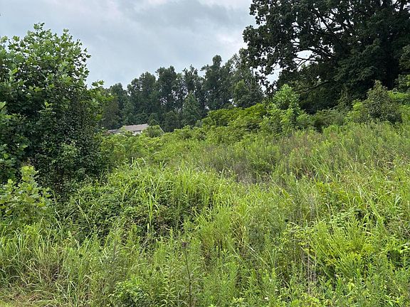 3rd image of LOT 44 Coral Ln