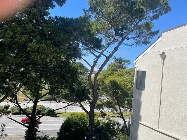 Large (13ft x 13ft) *private* patio for condo pic3