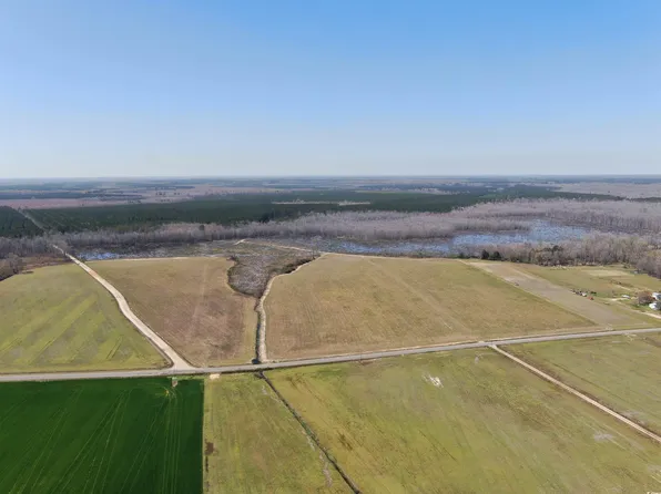 TBD Gum Swamp Rd., Sellers, SC 29592