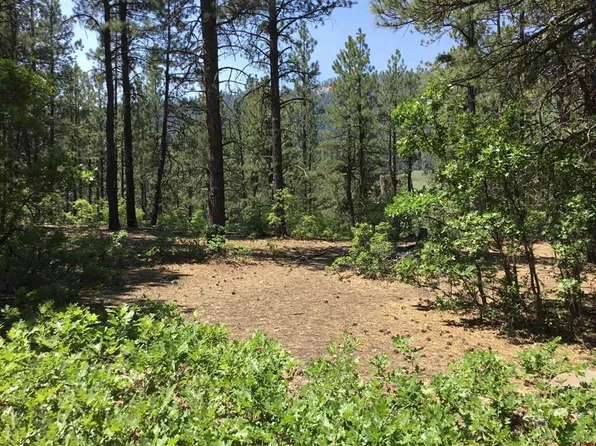 429 Enchanted Forest Drive, Bayfield, CO 81122