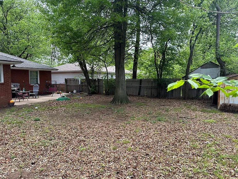 shaded back yard