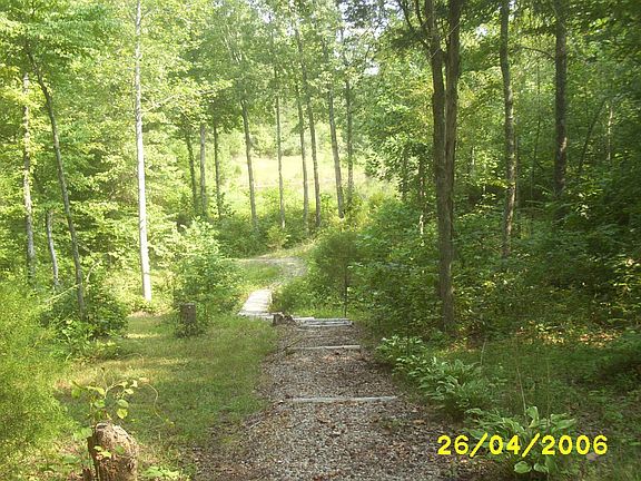 Walk way to the pond