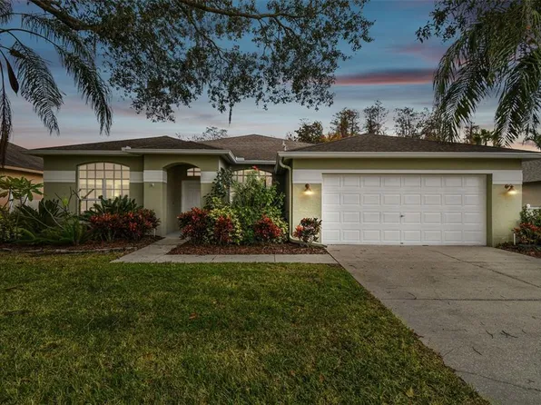 19814 Wyndham Lakes Dr, Odessa, FL 33556