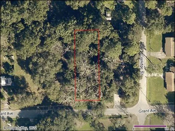 Grant Avenue Lot #21, Eustis, FL 32726