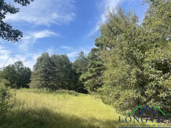 Hardy Holcombe Rd, Hallsville, TX 75650