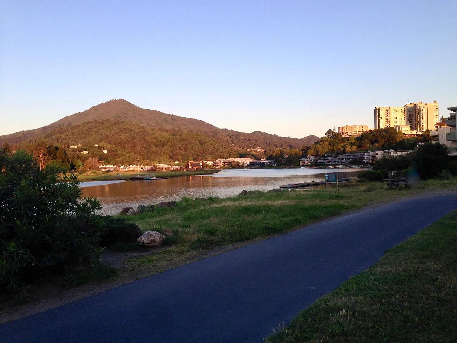 2 bed, 995 sqft, $3,650 — Photo 1