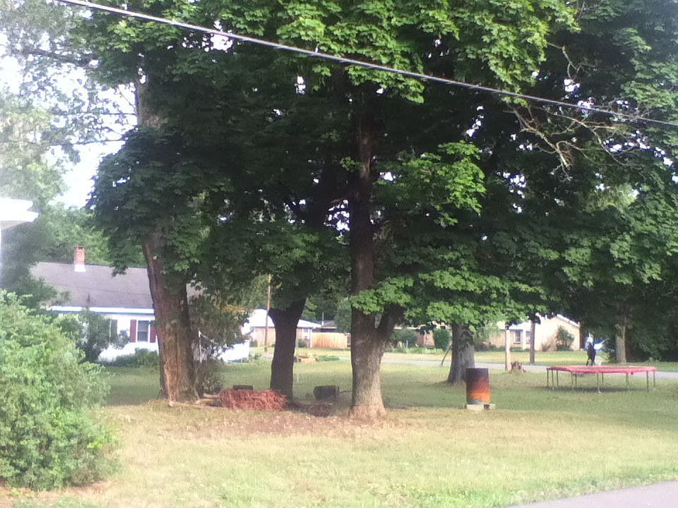 side yard