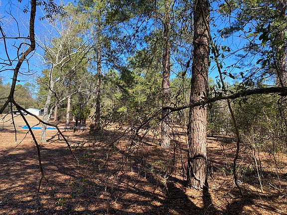 3rd image of 1621 N Pine Ridge Drive
