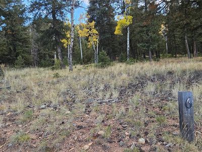 54 Garnet Lane  Lot 6, Pine, CO, 80470