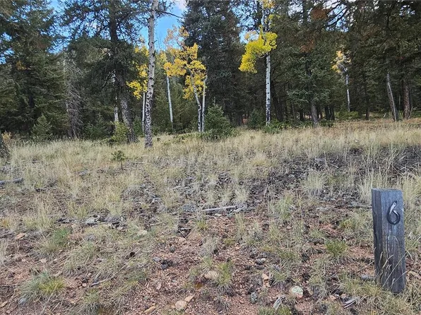 54 Garnet Lane LOT 6, Pine, CO 80470