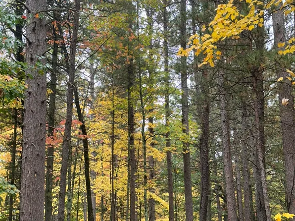 Near Silver Shore Ln, Rhinelander, WI 54501