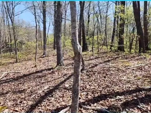 0 Chinkapin Cv, Sugar Tree, TN 38380