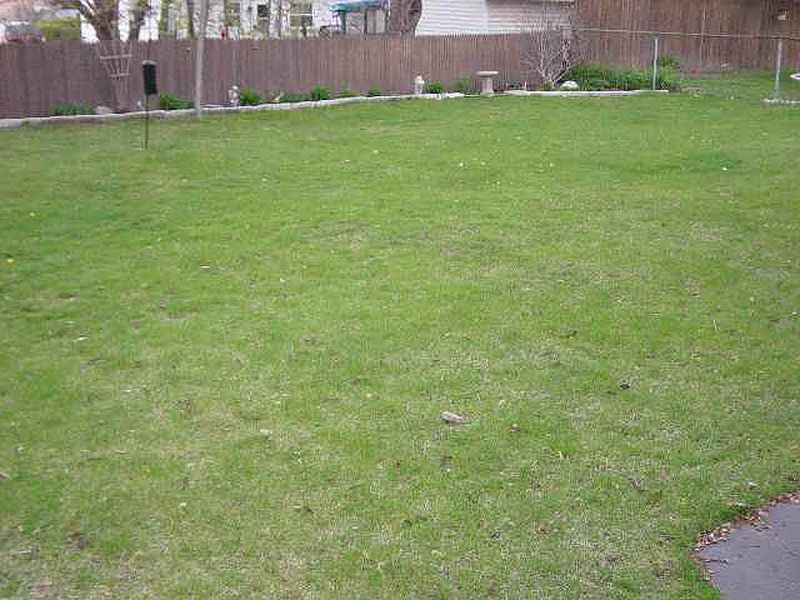 5th image of 207 MARYLAND Avenue
