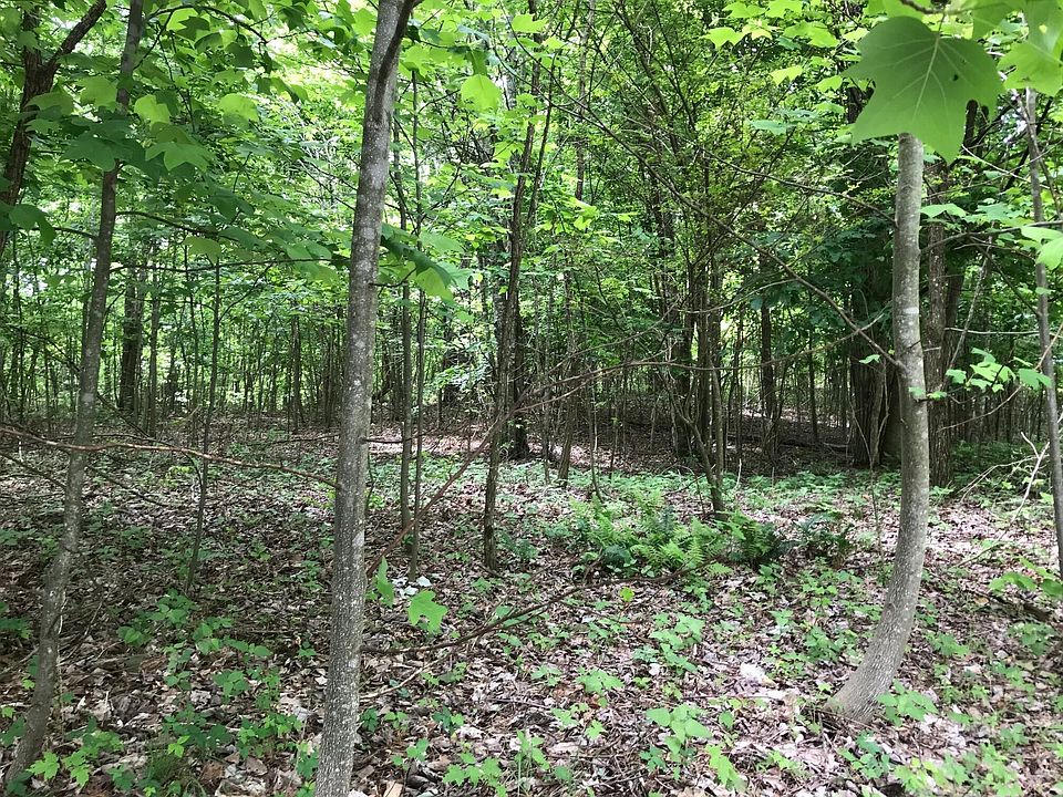 1st image of 512 Wilderness Way Lot 512