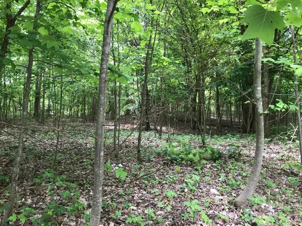 512 Wilderness Way Lot 512, Dunlap, TN 37327