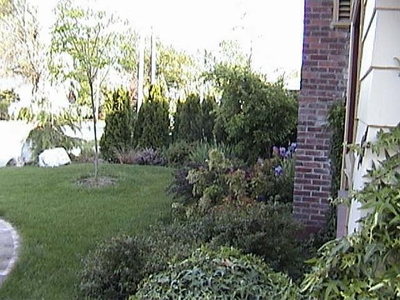 View of Front Yard From Walkway