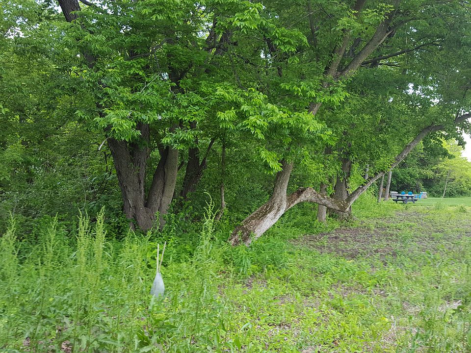 Back of lot very private....