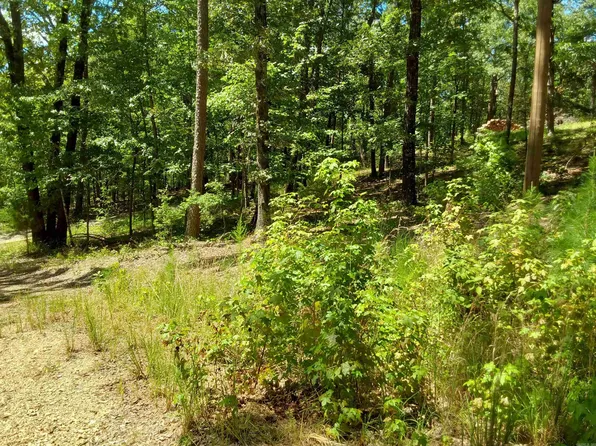 615 Rio Ln, Little Rock, AR 72210