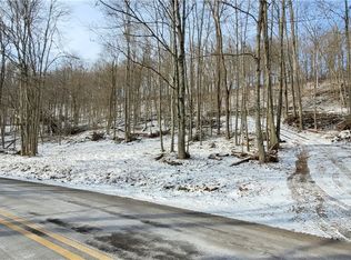 80700 Slab Camp Rd, Cadiz, OH 43907