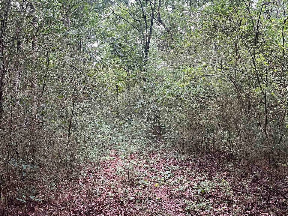 2nd image of 179 County Road 939