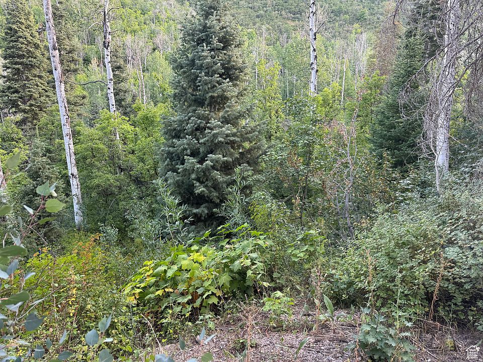 1st image of 819 N Fork Rd