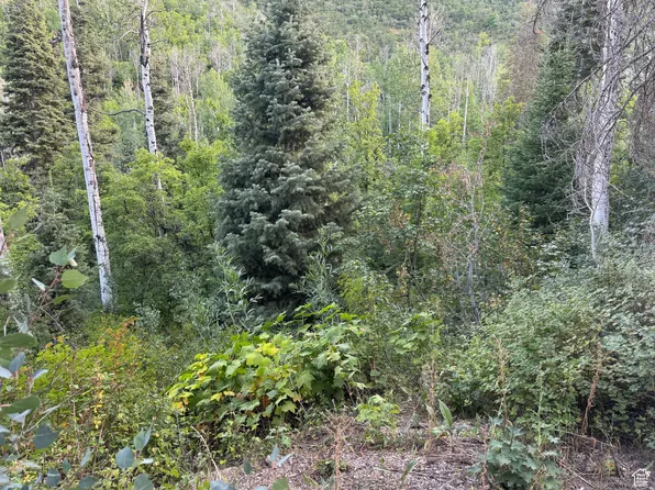 819 N Fork Rd, Mount Pleasant, UT 84647