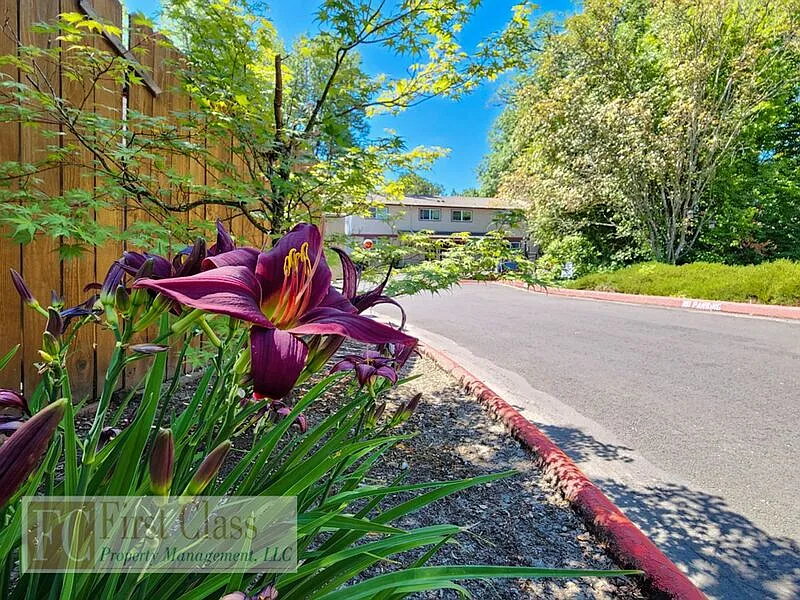 9555 SW Hall Blvd #4