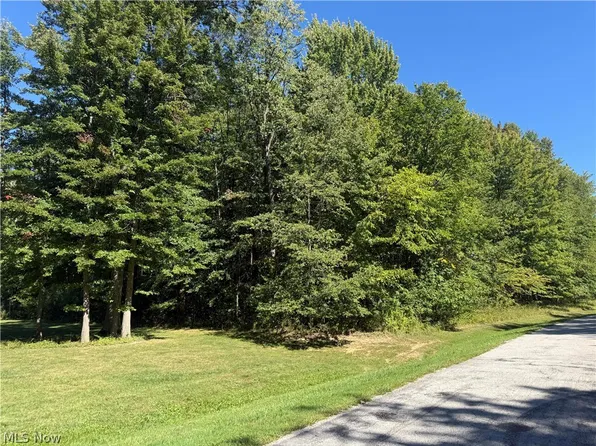 Shirley Dr, Painesville, OH 44077