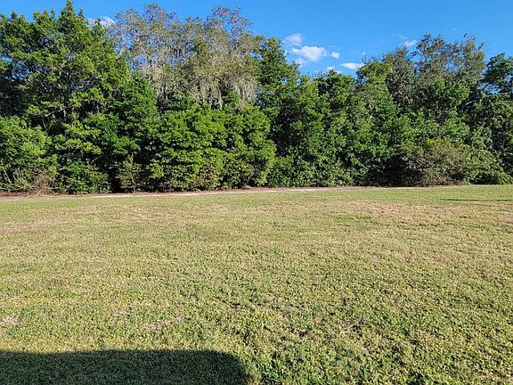 5th image of 5326 Laurel Oak Dr