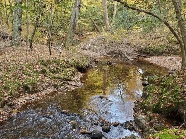 17237 Ivory Bill Ln Lot 16, Chesterfield, VA 23838