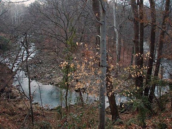 Stream behind the lot!