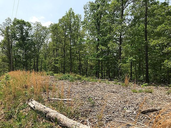 5th image of 57 Northampton Dr