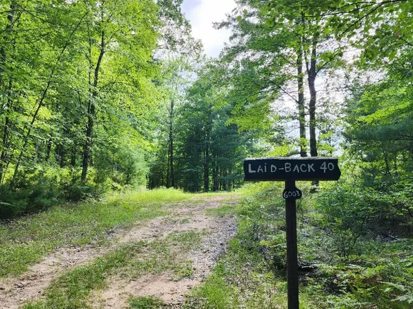 6003 E Barothy Rd, Custer, MI 49405