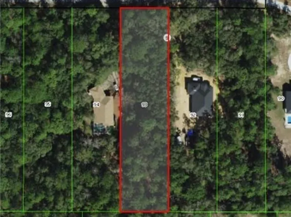 1836 E Bismark St, Hernando, FL 34442