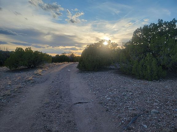 4th image of 218 Horny Toad Rd