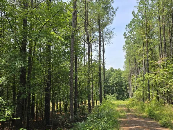 T23-L3 Sheep Ranch Rd, Robbins, TN 37852
