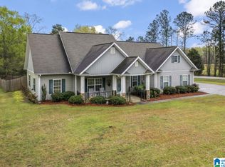 100 Thatcher Dr, Vincent, AL 35178