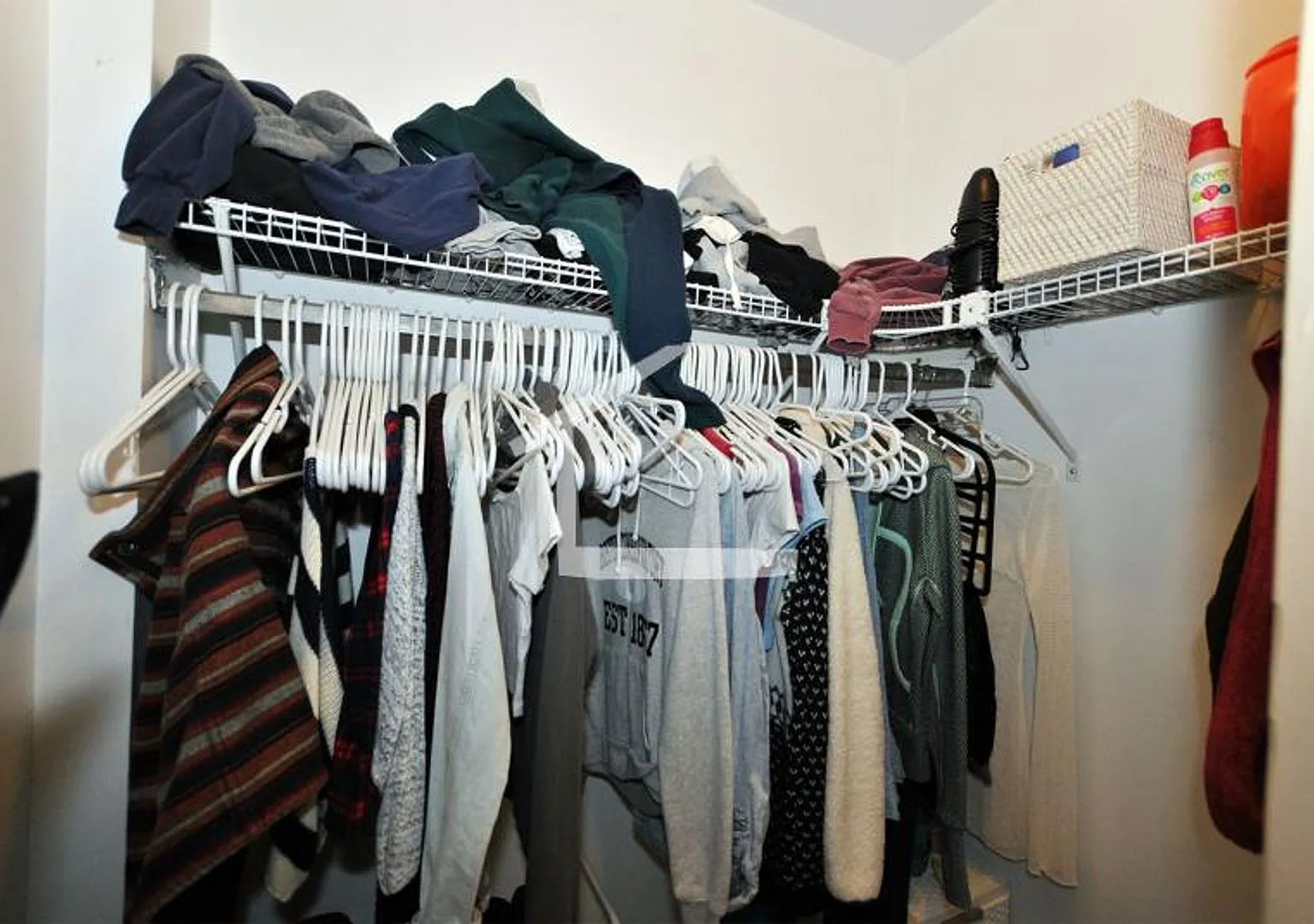 Nicely renovated, huge 3 bed near the Green Line in a prime location! — Photo 2