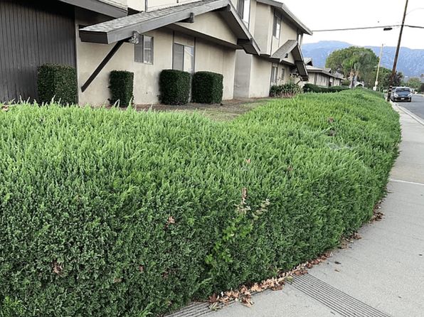 2401-2423 N Pattiglen Ave #2411