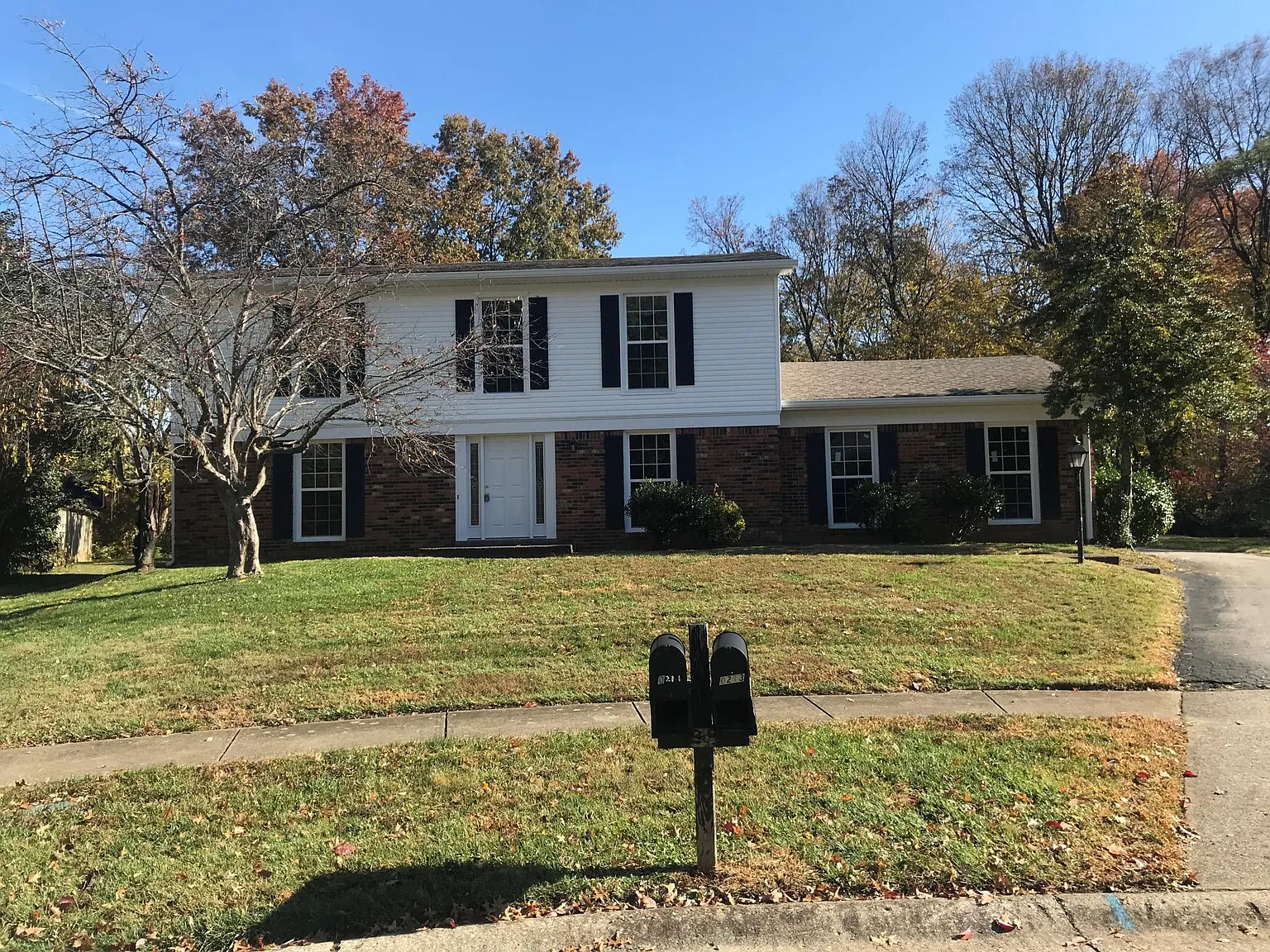 10213 Bluffsprings Trce photo 1