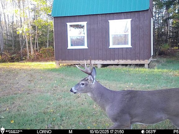 3rd image of Birch Creek Rd