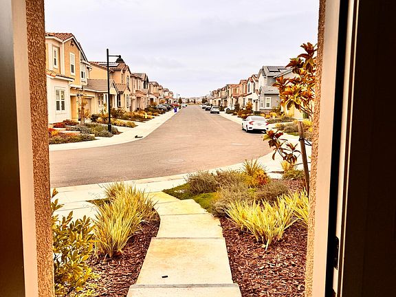3rd image of 3488 Cantor Dr