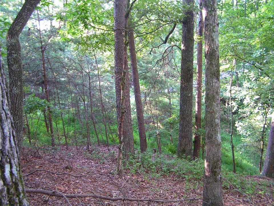 1st image of 53 Mountain Trace Ln #530