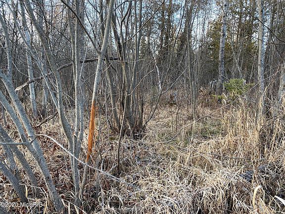 2nd image of 17256 Bigge Rd