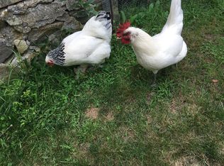 40 Cedar St, Walpole, MA 02081