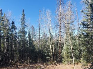 Lot 6581 Ackerman Road LOT 6581, Fort Garland, CO 81133