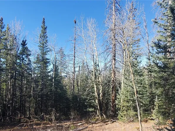 Lot 6581 Ackerman Road LOT 6581, Fort Garland, CO 81133