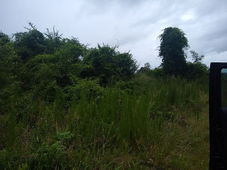 2nd image of Fralix Rd